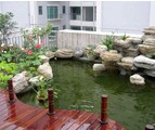 魚(yú)池過(guò)濾毛刷應(yīng)用